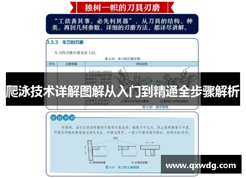 爬泳技术详解图解从入门到精通全步骤解析