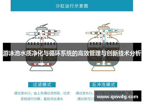 游泳池水质净化与循环系统的高效管理与创新技术分析